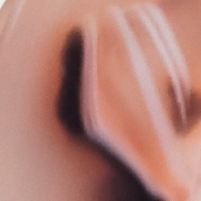 Oorbellen Lois – ovalen oorbellen van licht cellulose acetate met goudkleurige steker